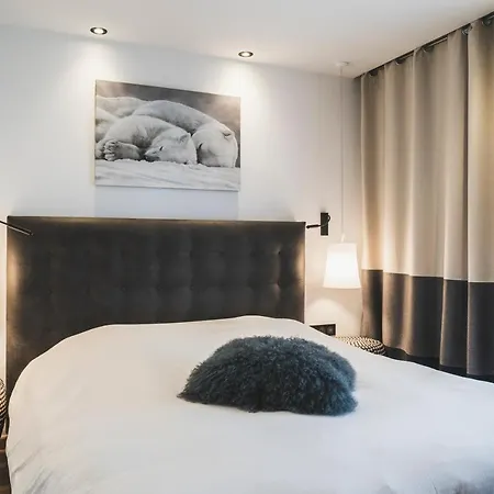 Les Mélèzes 3* Les Deux Alpes